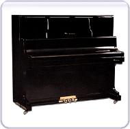 尊皇--钢琴