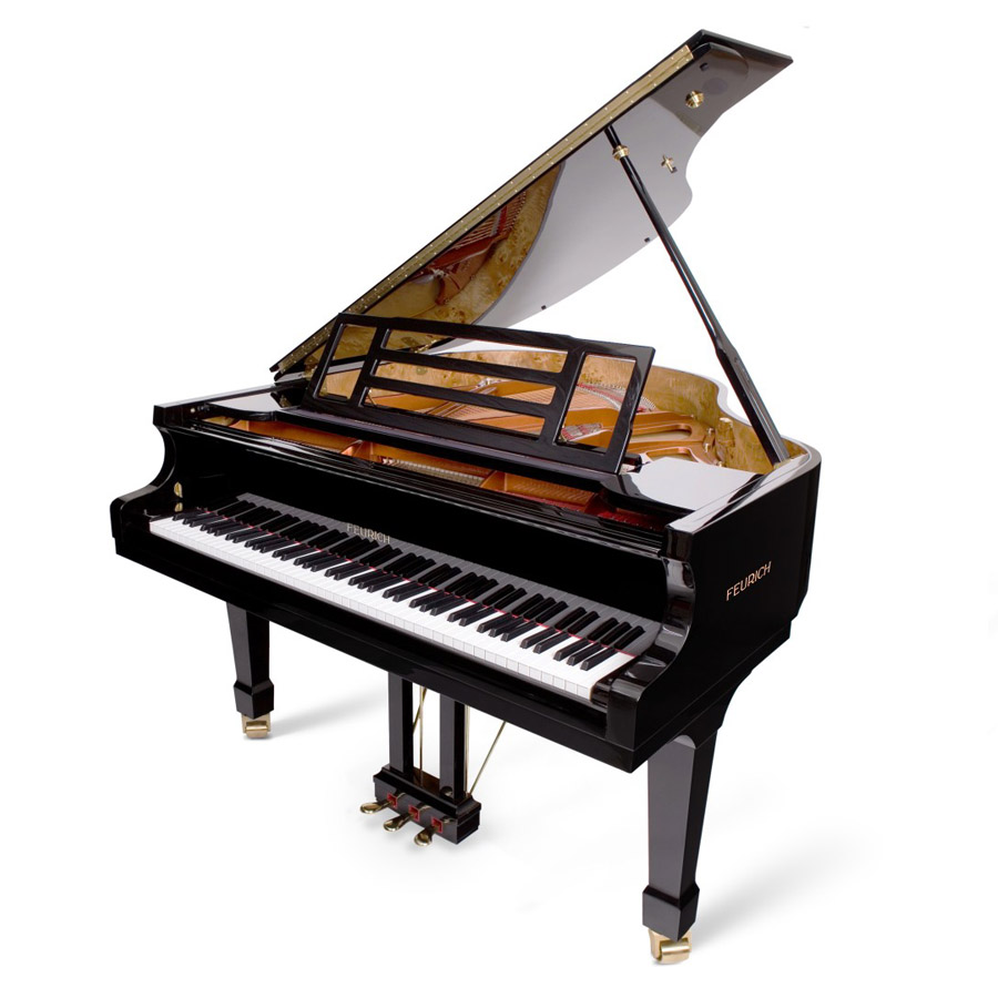 钢琴/弗尔里希钢琴/弗尔里希161 - 专业 I 型/三角钢琴