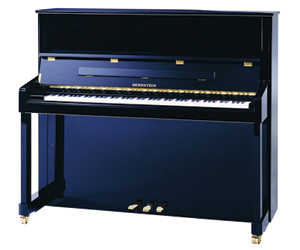 伯恩斯坦钢琴 IBS126D 立式钢琴 家用钢琴