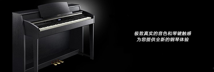 AP-620BK - 数码钢琴CELVIANO系列